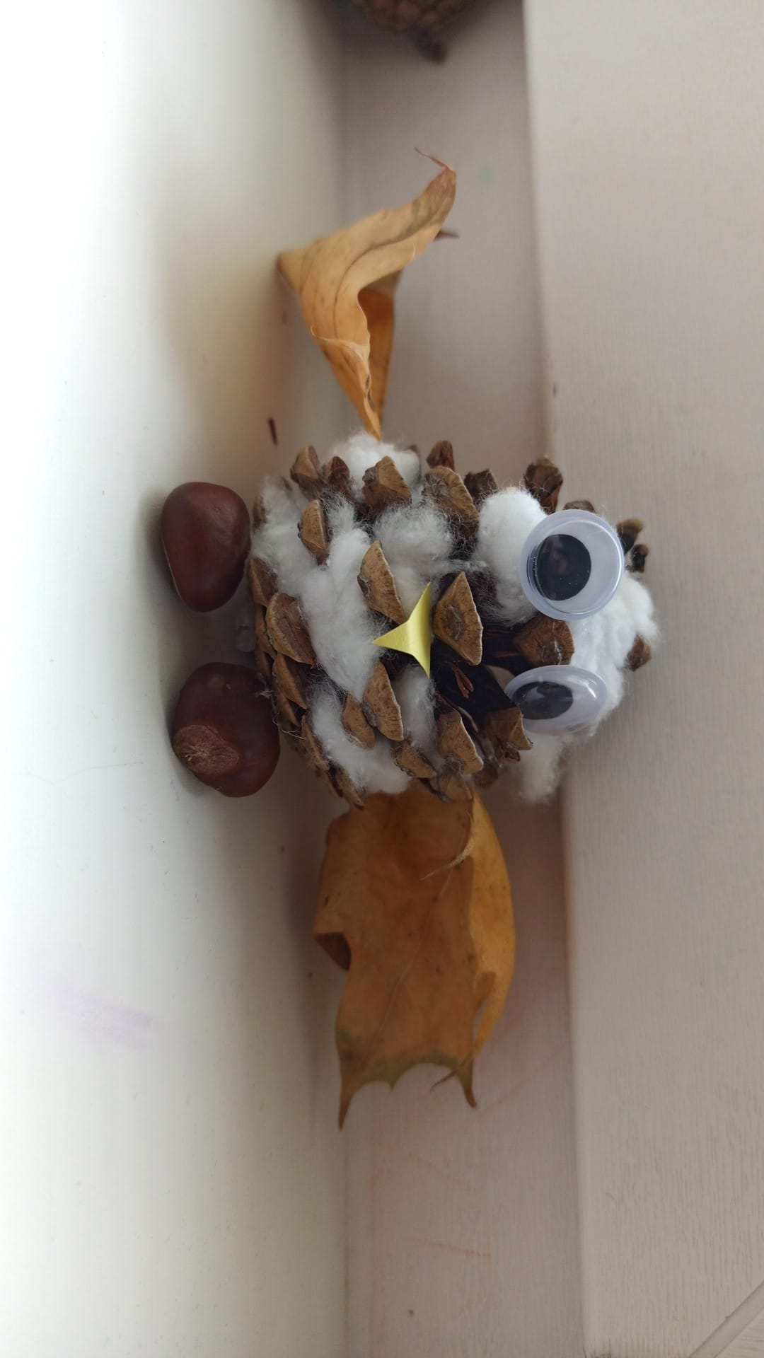 šiška sova podzimní tvoření lesních zvířat